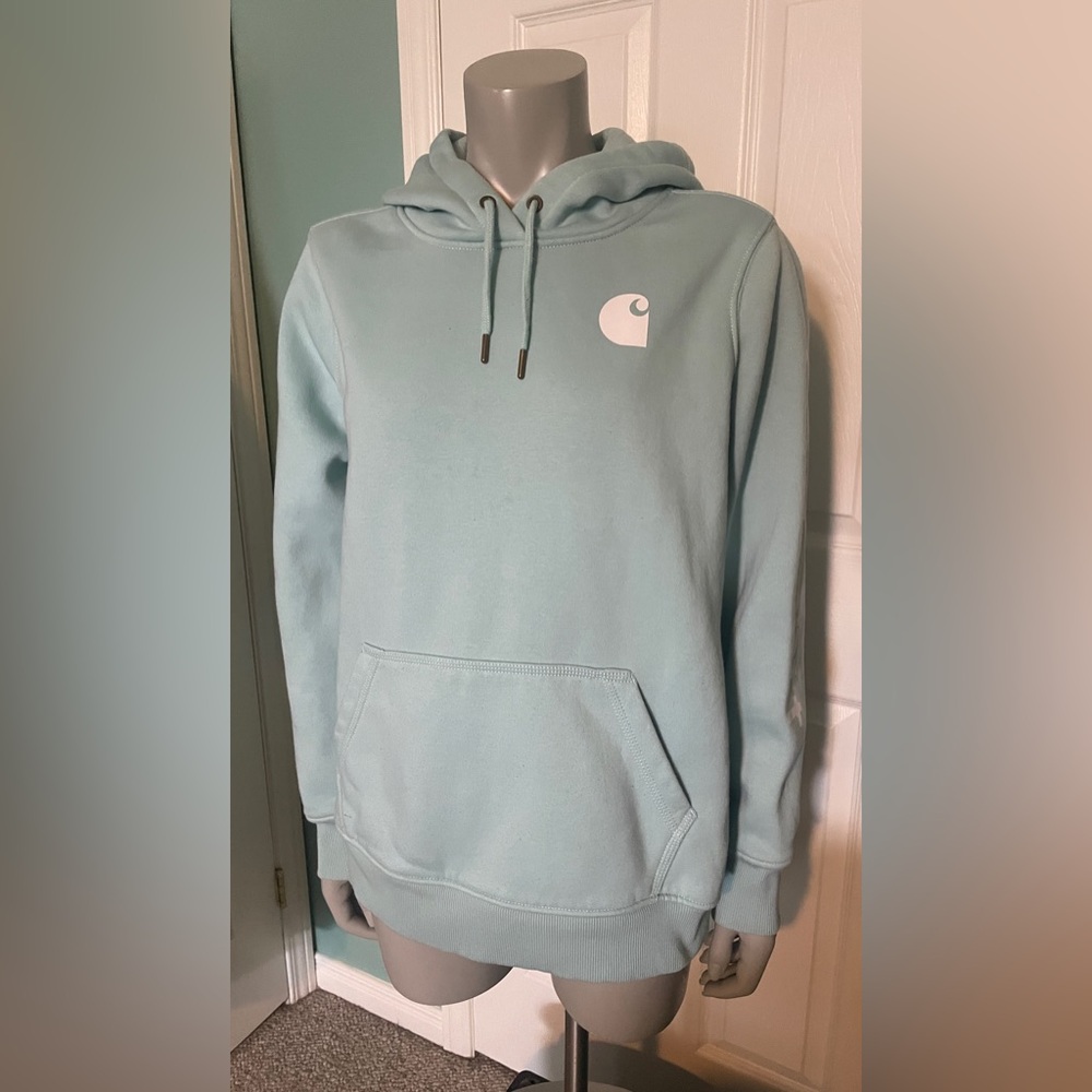 Carhartt Relaxed Fit Light Blue Women's Pullover Hoodie with Sleeve Graphic